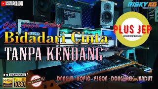 Bidadari Cinta TANPA KENDANG Plus JEP Koplo & Vocal