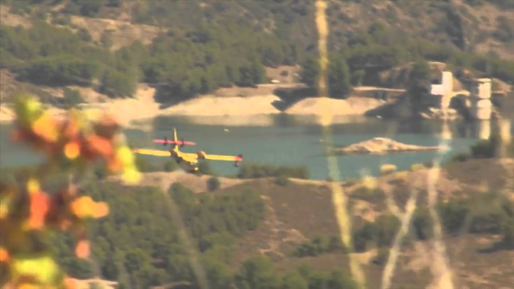 43 Grupo - Entrevista para Amaranta