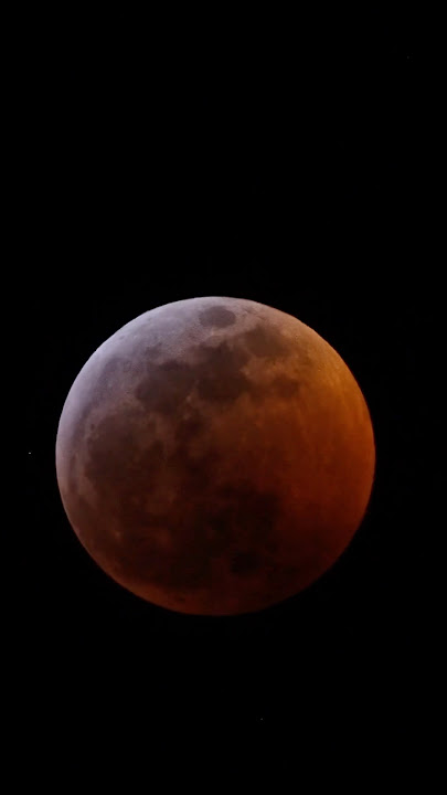 Levi & Ivy Saw the Blood Moon! Did you? 🌕 #bloodmoon #moon #outerspace