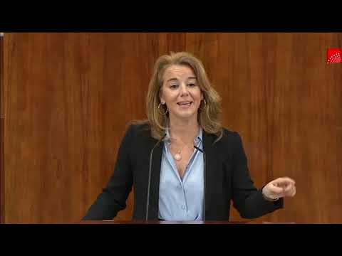 Intervención de Ana Cuartero, Pleno de la Asamblea de Madrid 17 de Diciembre 2020.