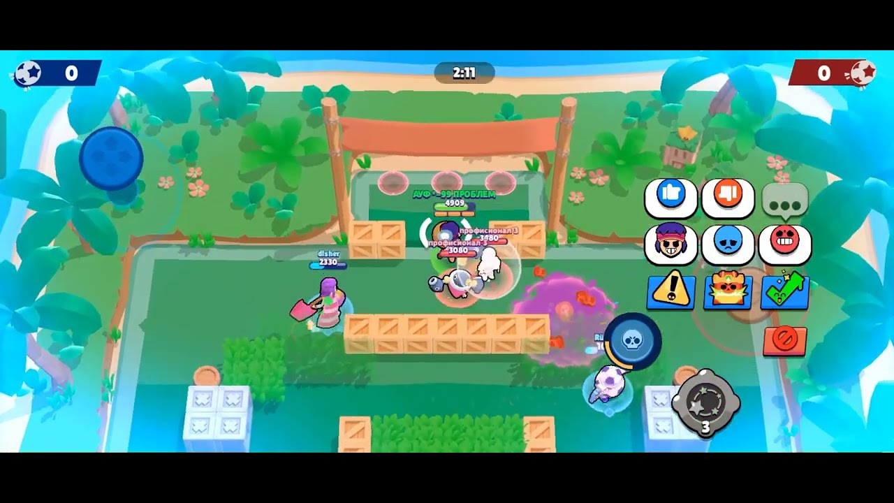 Планы на будущее браво старс