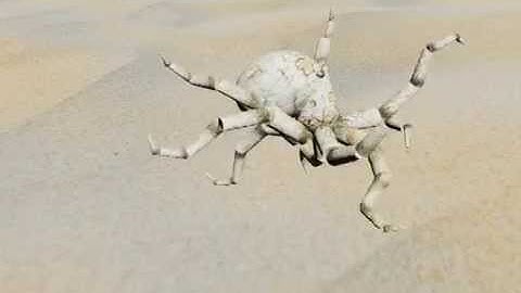 Animation 3DSMax - Octopus