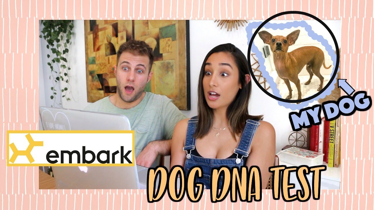 DOG DNA TEST - YouTube