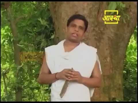 Arjun Tree Benefits