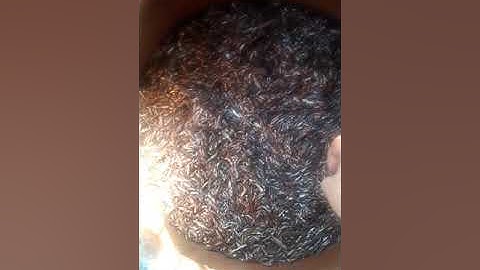 Nước mắm nhỉ cá linh non. 0988 635 505 (zalo)