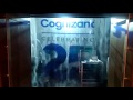 Fog Screen Projection - Call 8553191431