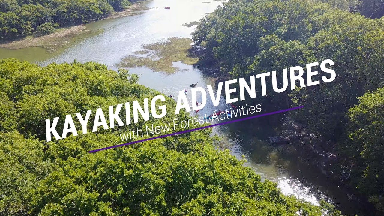Kayaking Adventures in The New Forest | New Forest Activities