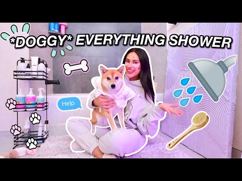 I Gave My *dog* And Everything Shower.. | Honeybobabear