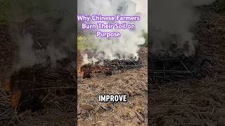 Why Chinese Farmers Burn Their Soil on Purpose #shortvideo