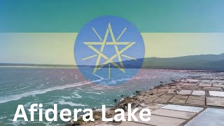 À La Découverte Du Lac Afidera Le Joyau Caché De Léthiopie Dans La Région Afar