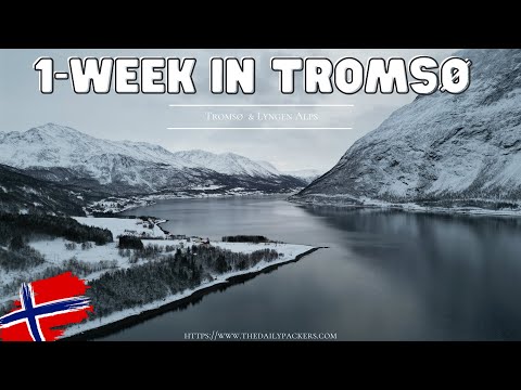 1-Week Tromsø Travel (Snowshoeing, Husky sledding, reindeer race...) Ambience video