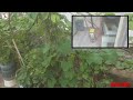 অসাধারণ একটা ছাদ ও বাড়ির ভিতরের দৃশ্য তেমনি আবার লিফট ও কন্ট্রোল।