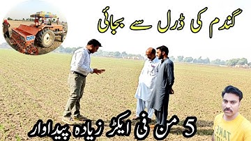 Wheat Drill sowing |Wheat sowing methods |Wheat sowing methods comparison |Wheat dry sowing benefits