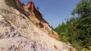 The Great Outdoors: Southern Georgia and Alabama