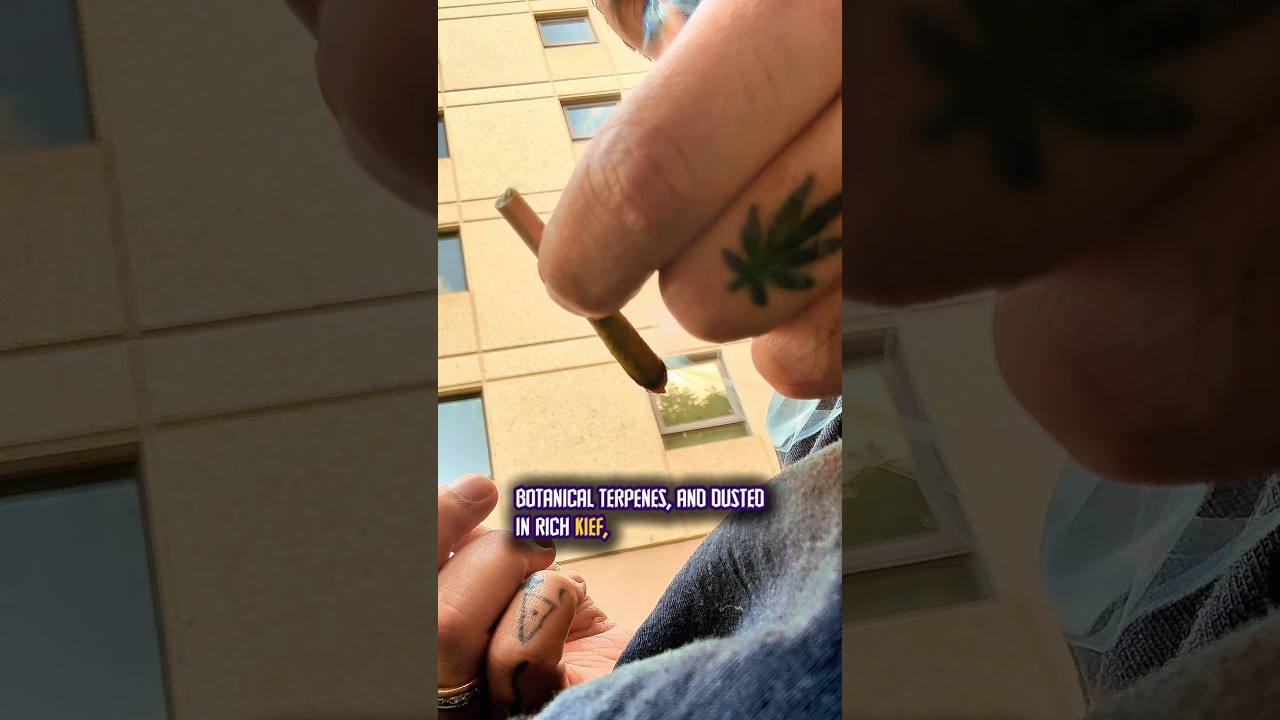 Pineapple Drift Infused Review | Bold Tropical Flavor & Uplifting Vibes