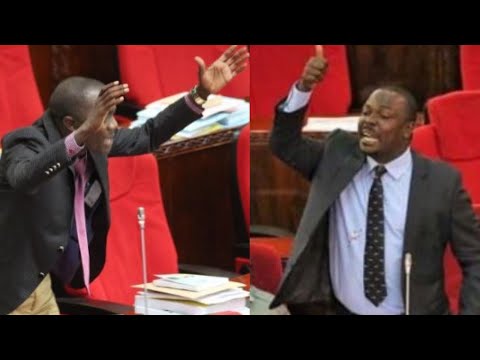 Video: Mbwa Za Huduma Bandia Ni Tatizo Kwa Kila Mtu