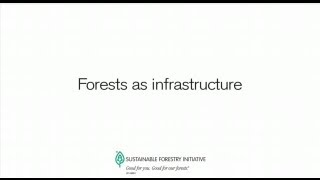 Forests as infrastructure