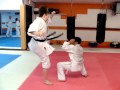 Koryu Uchinadi Keri-waza Renzoku Futari-geiko