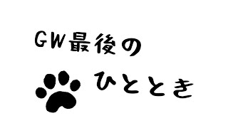GW最後のひととき