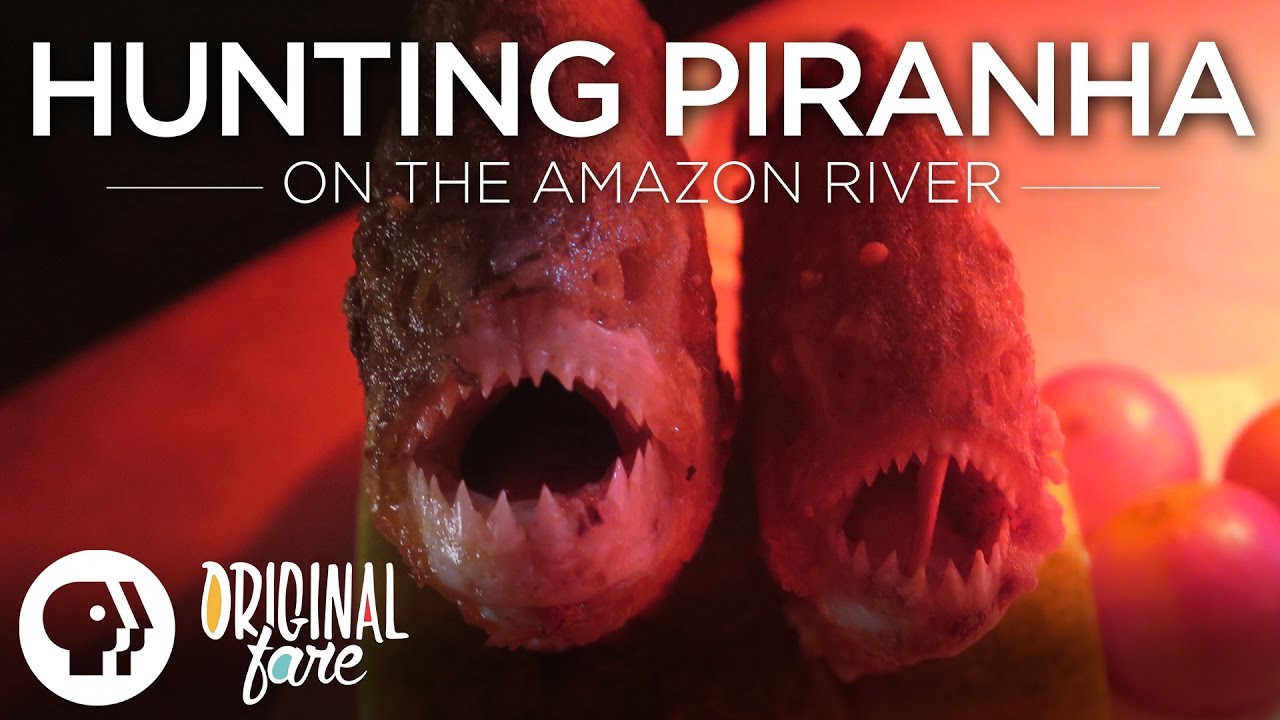 Original Fare Hunting  Piranha  on the Amazon YouTube