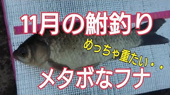 マブナ Youtube マブナ Youtube