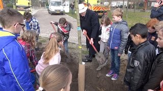 Download Lagu Boomfeestdag 2015 in Westend Oisterwijk MP3