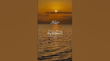 "رسالة من الله: اصبر فالحكم بيده وحده 🎧|سورة غافر" #قرآن #قران_كريم #تلاوة_هادئة #اكسبلور #آيات