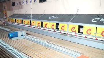 Bolong Automatic Egg Collection System