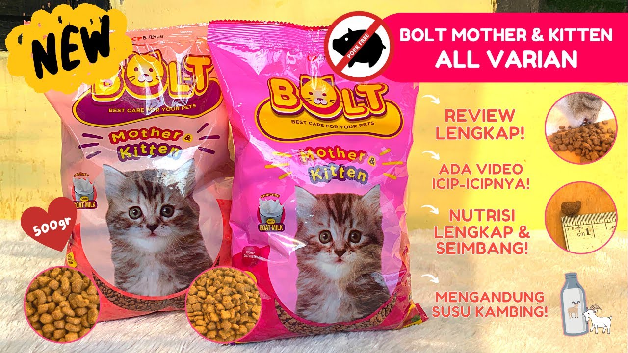 Review Dry Food BOLT VARIAN BARU Mother & Kitten All Varian 500 gram