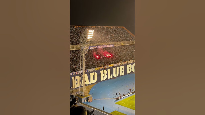 DINAMO ZAGREB - Borussia Dortmund  27.11.2024 (Champions League ) #ultras #football