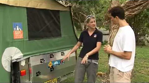 3 Dog Camping Trailer Demo