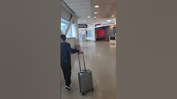 쭌이와 뉴질랜드출국 편