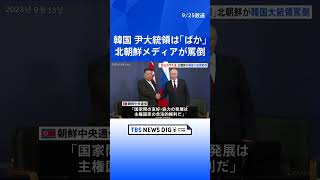 「ばか」「政治の門外漢」北朝鮮メディアが韓国・尹大統領を罵倒　尹大統領の国連での演説に反論「国家間の友好発展は主権国家の合法的権利」｜TBS NEWS DIG #shorts