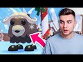 СПЕШИ! ОБНОВА ВЫШЛА! Зимнее обновление в Адопт Ми 2020 Роблокс! Новости Adopt Me Roblox Брайс!