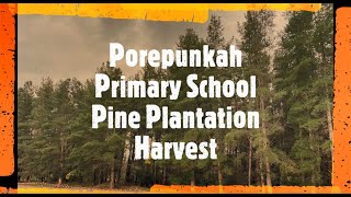 Porepunkah Primary School Harvest Story