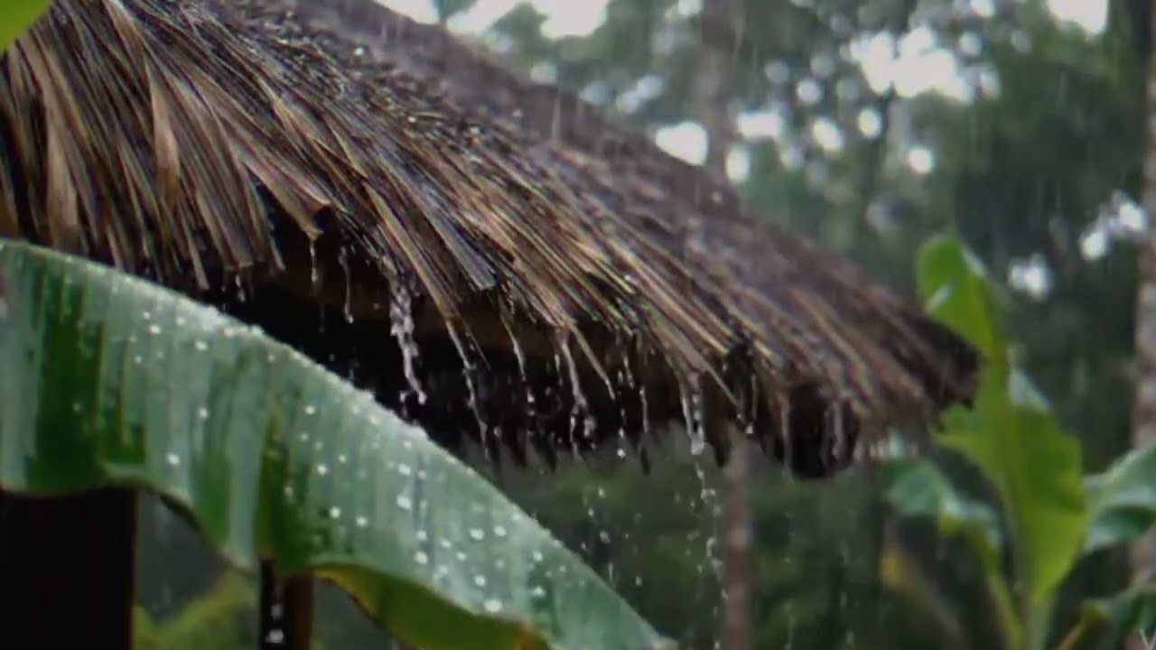 Instant Sleep with Rain Sounds | Stress Relief & Deep Relaxation - ASMR