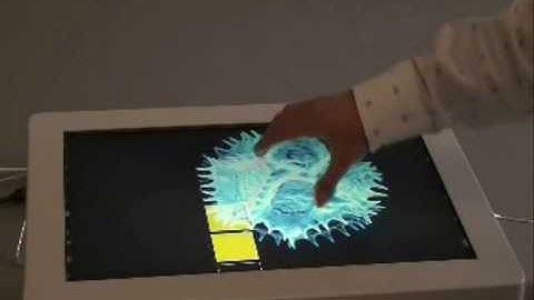 Evoluce Multitouch LCD