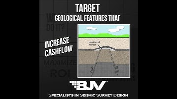 Economic goals of Seismic Survey Design