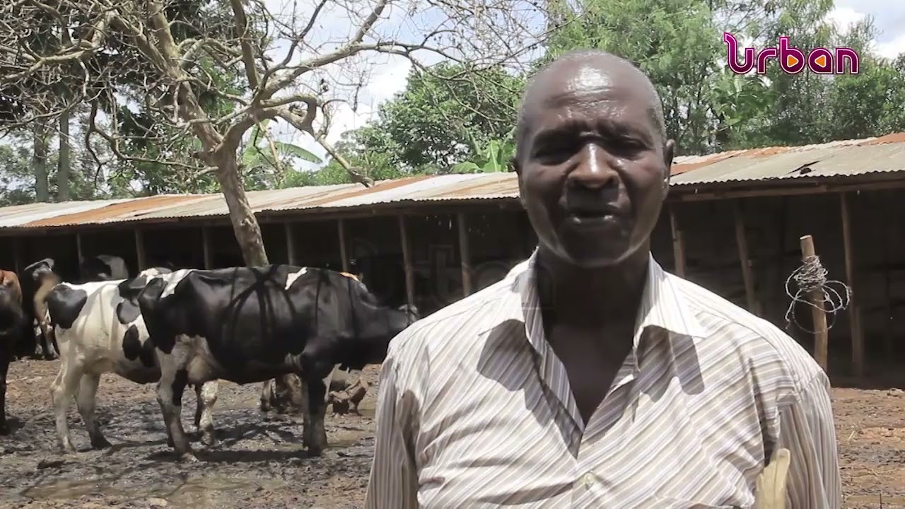 Конкурс «Лучший фермер»