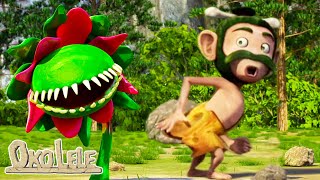 Oko Lele 🔴 All Best Episodes in a row 🔴 LIVE — CGI animated short