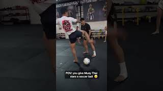 Make it a new sport ⚽️ 🥊 Who'd watch? 😂
