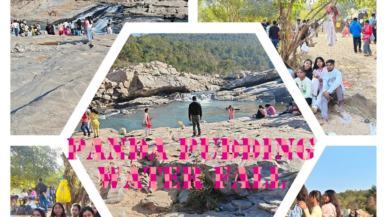 I went on a college picnic # Panda Pudding,Lohajimi