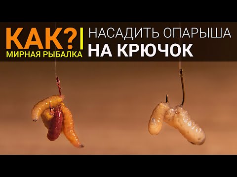 Video: Kako Obrezati Datoteko