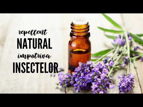 DIY How to make natural insect repellent - Cum sa faci repelent NATURAL  impotriva insectelor