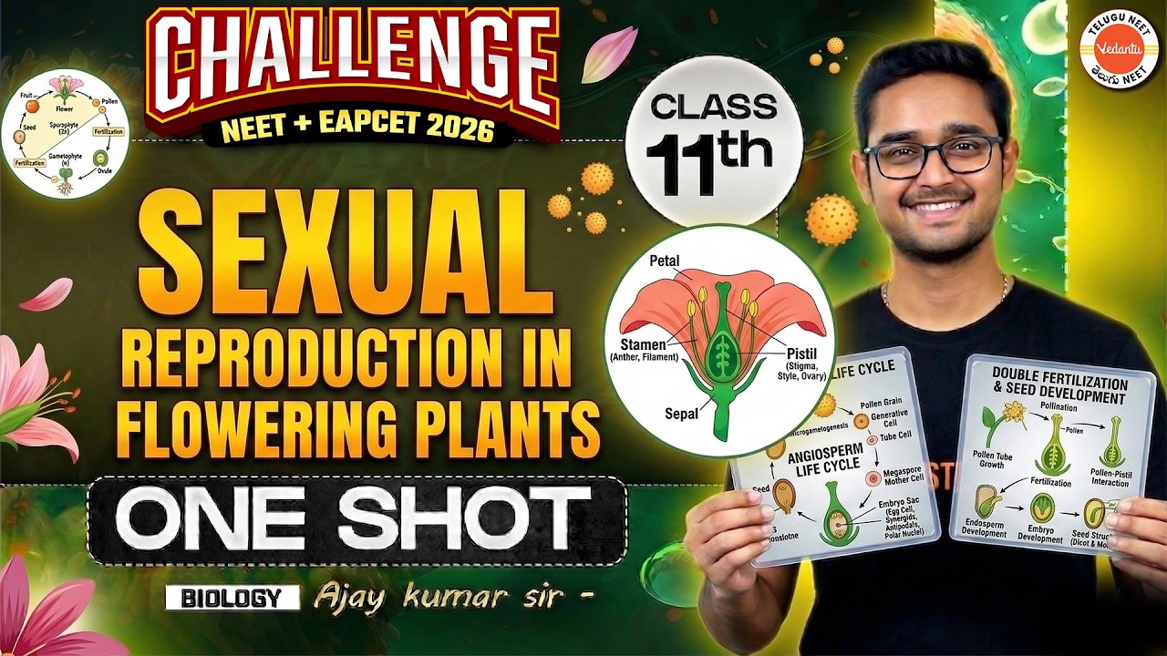 Sexual Reproduction in Flowering Plants One Shot | Class 12 | Biology ...