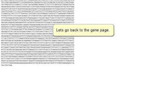 Downloading sequence from a gene page