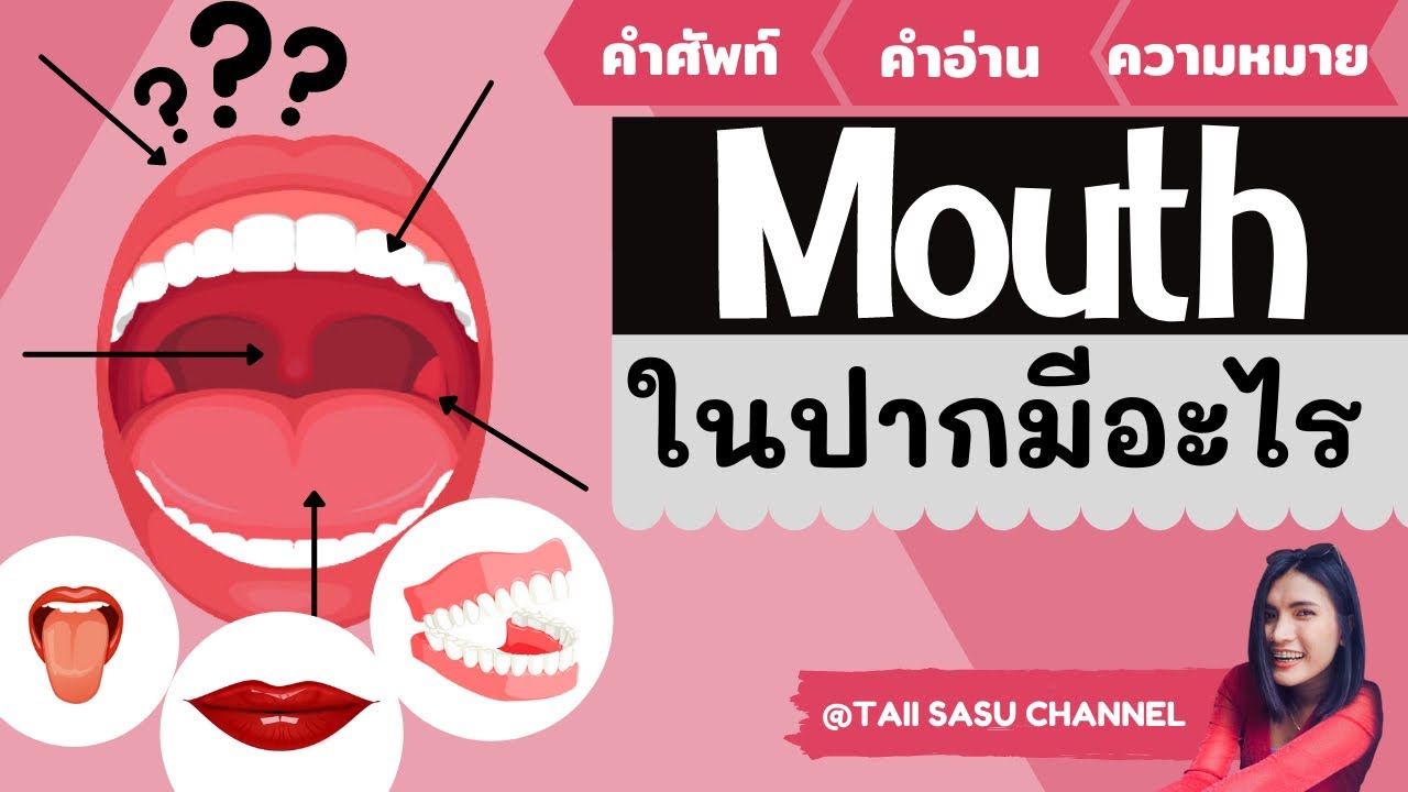 ปากภาษาอังกฤษ  Update  Mouth | เรียนคำศัพท์ที่เกี่ยวกับ “ช่องปาก” ของเรา