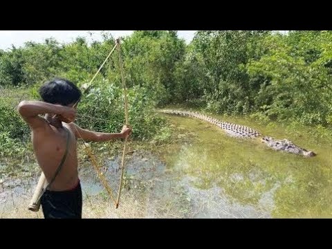 Video: Cómo Atrapar Lenok