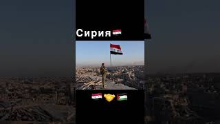 Страны которые поддержали Палестину 🇵🇸 #палестина #израиль #война #сектор_газа #shorts #tiktok