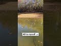 We have a secluded property to fish.